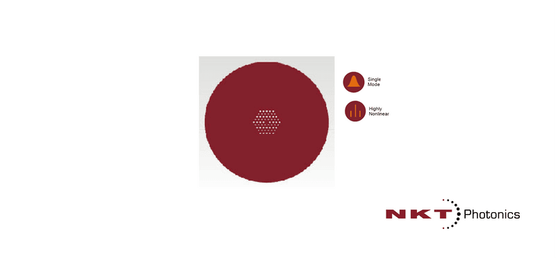 非线性光子晶体光纤