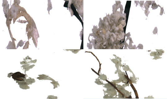 微信公众号图片