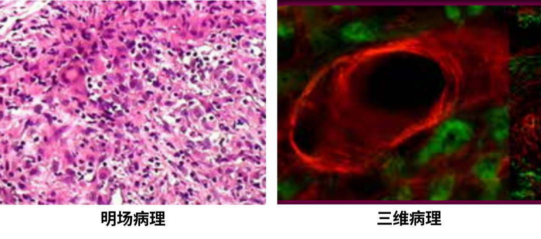 微信公众号图片