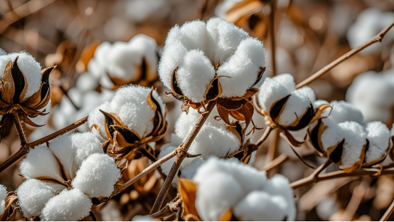 微信公众号图片